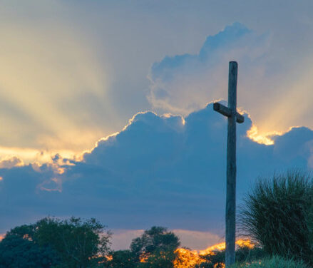 GENEVA EVELYN (MILLS) STARKES, 96, GREENVILLE,  JANUARY 5, 1928 – MAY 22, 2024