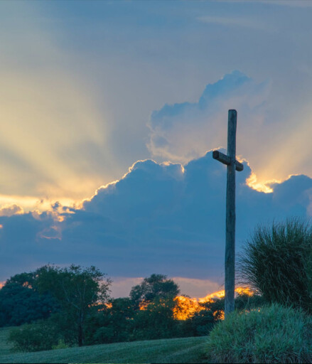 WINIFRED CAROLYN WHATLEY, 80, QUINLAN,  JULY 26, 1944 – SEPTEMBER 26, 2024