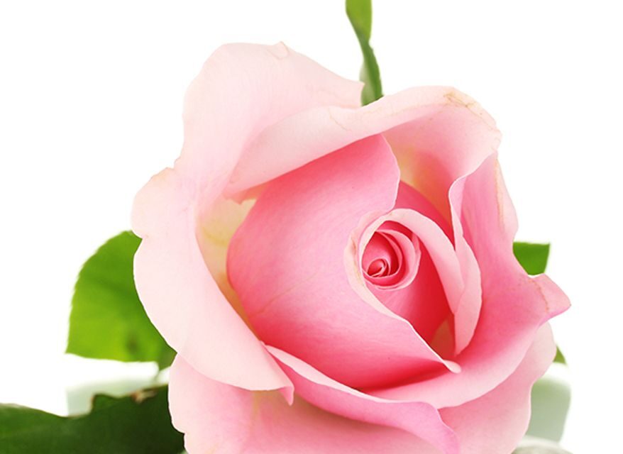 JUDITH “JUDY” RUDOFF, 83, COMMERCE,  APRIL 4, 1942 – MAY 7, 2025