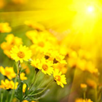 TAMMY LYNN HABLUETZEL, 65, CADDO MILLS,  JUNE 16, 1959 – MAY 15, 2025