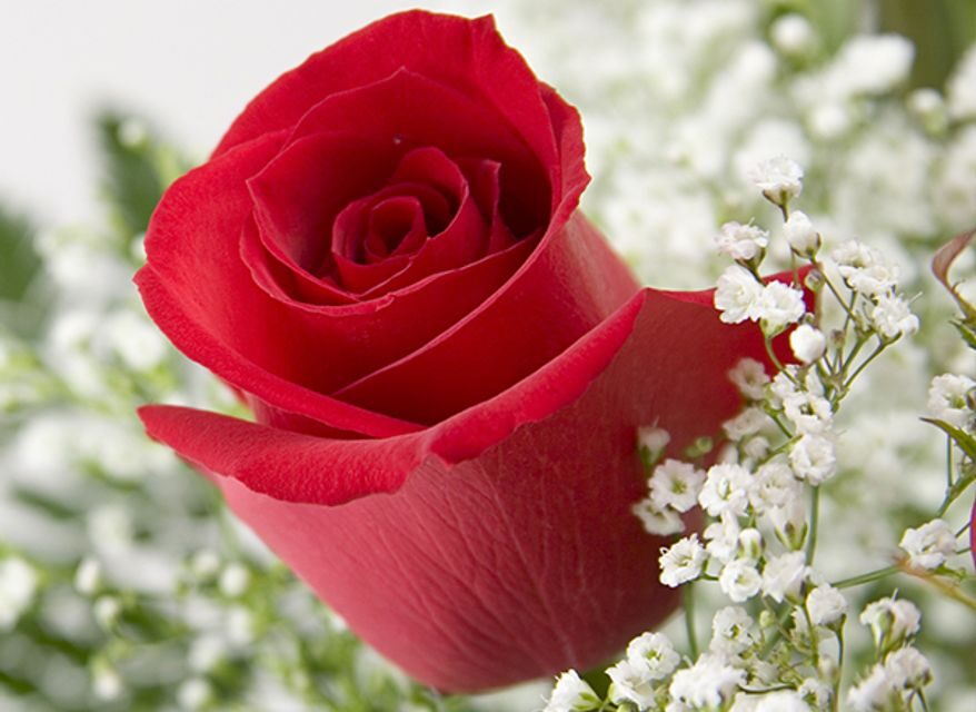 SARAH LINDSEY HIBBARD, 69, TYLER – PREVIOUSLY COMMERCE,  MAY 21, 1956 – JUNE 14, 2025