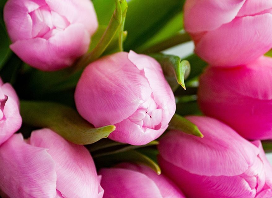 RUBY CLINTON, 87, GREENVILLE,  JUNE 21, 1937 – JUNE 17, 2025