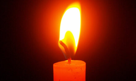 LINDA LEE (WIAND) MORRIS, 76, LONE OAK,  SEPTEMBER 10, 1948 – JULY 23, 2025