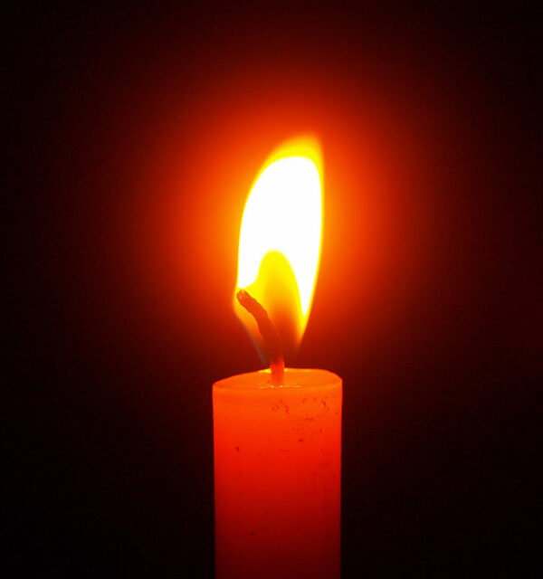 LINDA LEE (WIAND) MORRIS, 76, LONE OAK,  SEPTEMBER 10, 1948 – JULY 23, 2025