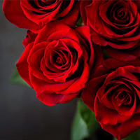 TERESA ANN NIX, 66, GREENVILLE,  JUNE 11, 1959 – JULY 22, 2025